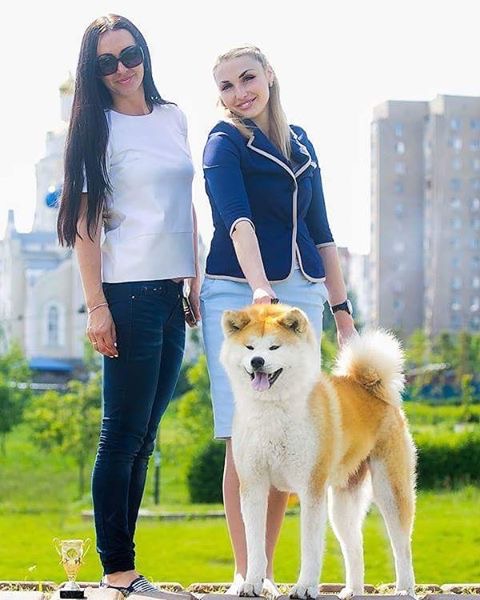 чемпионы