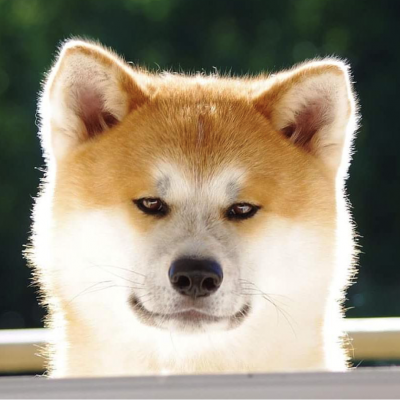 Джи